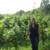 Margaret Ruggiero with chardonnay vines
