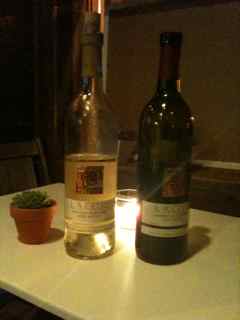 Mexican wines